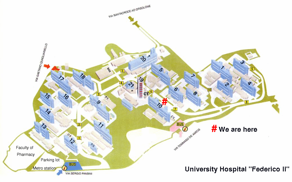 "Federico II" Hospital Map